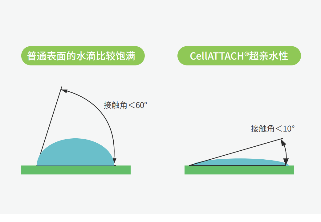独特的超亲水表面处理技术，能为细胞提供更好的吸附性，促进细胞快速贴壁生长，提高产量